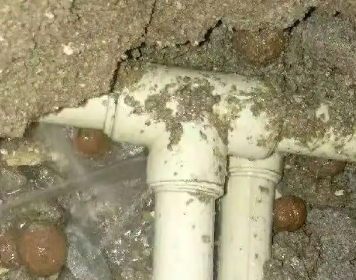 金东测漏水多少钱