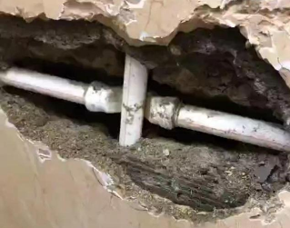 金东测漏水哪家好