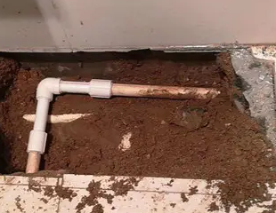 金东测漏水哪家好