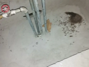 金东卫生间测漏水价格明细