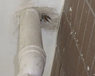 金东漏水检测哪家好